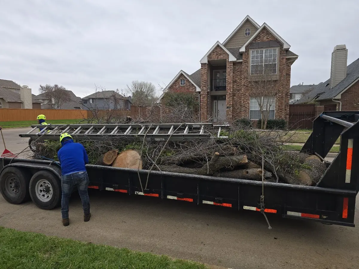Expert Tree Fertilization with proper safety equipment in New Concord
